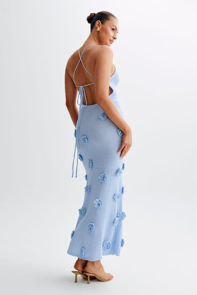 Maxi Dress | LouLou Couture
